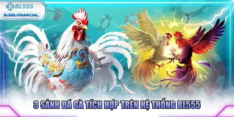 3 sảnh đá gà tích hợp trên hệ thống BL555